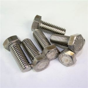 Stainless Hex Head Cap Screw - 5/16" x 2"