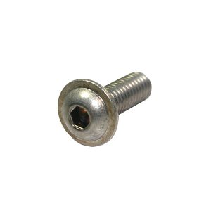 Stainless Flange Screw - 5/16" x 1"